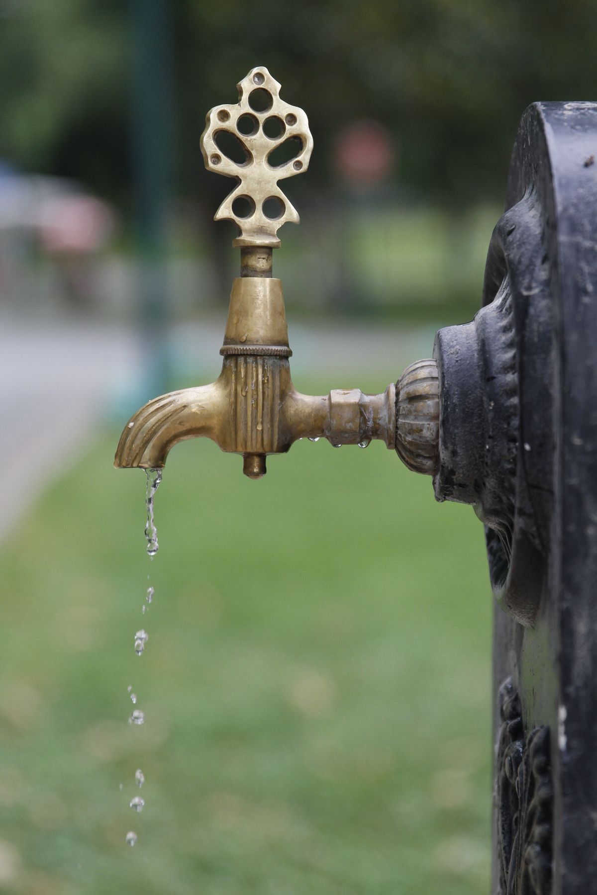Gold bathroom tap — hydrogen sulfide makes Jacksonville water smell like rotten eggs